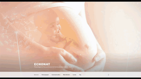 Screenshot du site echonat.fr